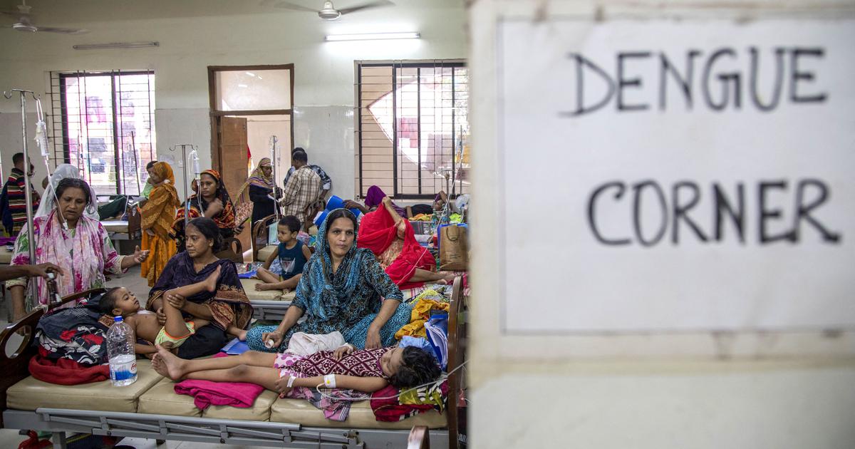 Bangladesh Braces for Another Potentially Lethal Dengue Outbreak Amidst Healthcare Strain