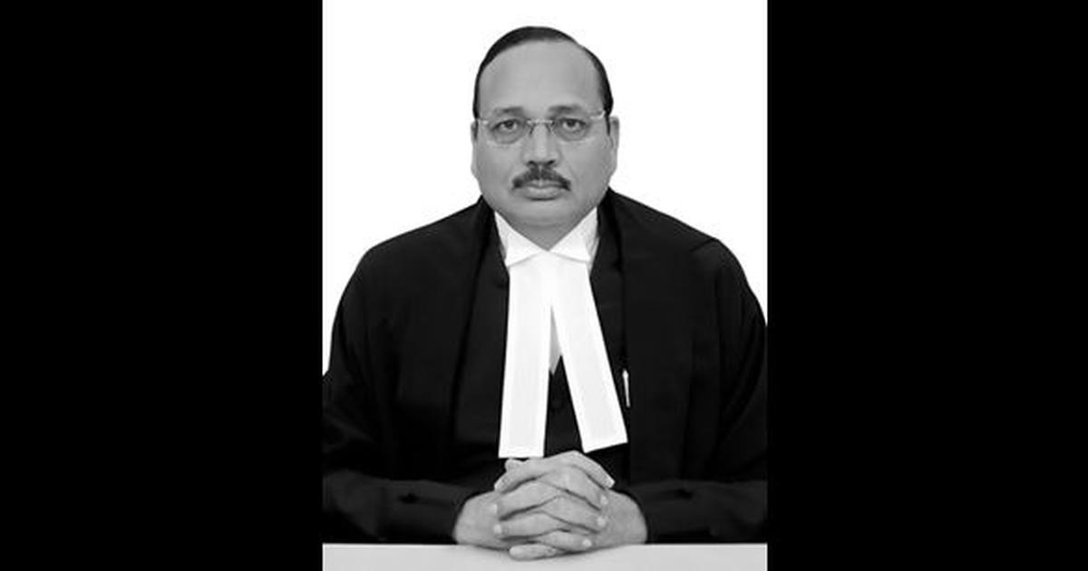 CJI Compares Unemployed Youth to 'Cockroaches', Critiques Activism Against the Judiciary