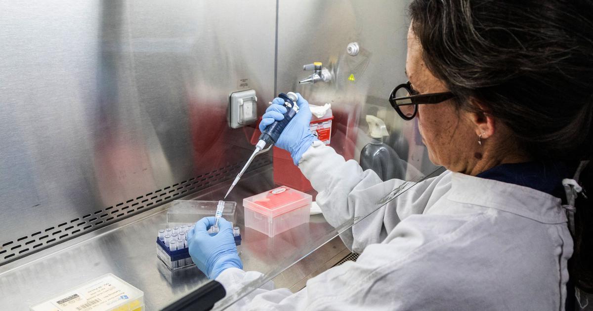 Hantavirus Outbreak: No Immediate Threat to Public Health in India, Says Virology Expert