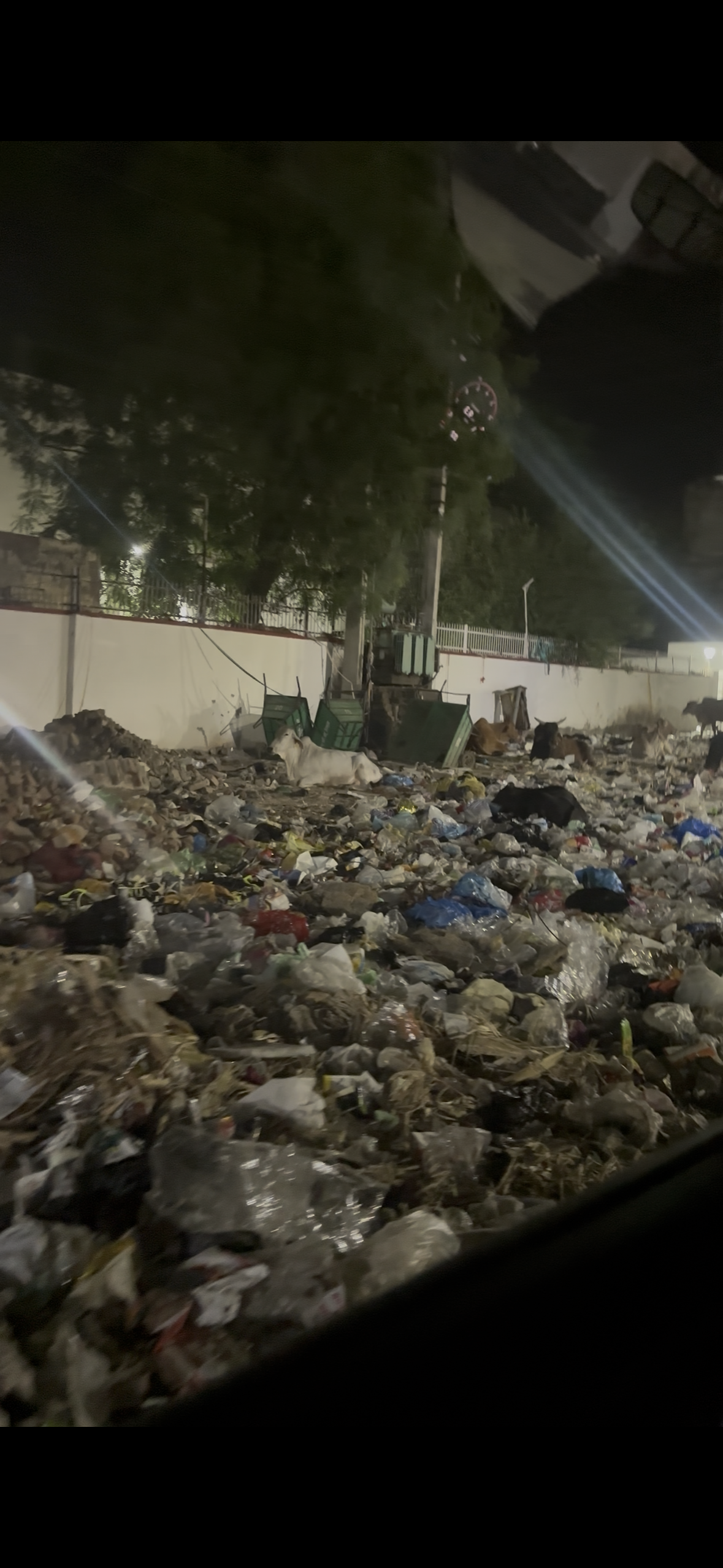 Sirsa Faces Sanitation Crisis Amid Municipality Workers’ Strike
