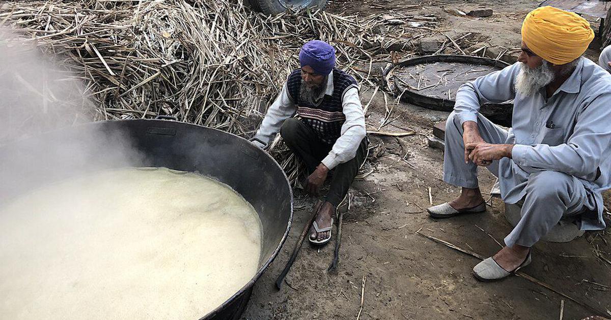 India Imposes Ban on Sugar Exports Amid Global Turmoil to Stabilize Local Prices
