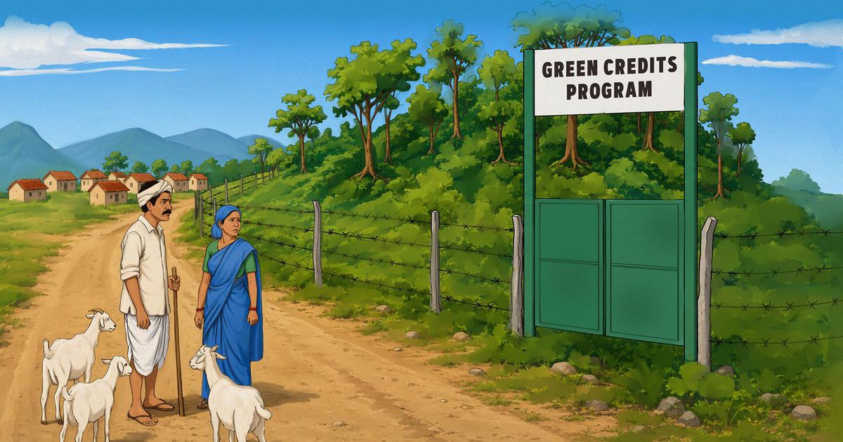 Local Villages Resist Tree Planting Initiative Amidst Environmental Concerns
