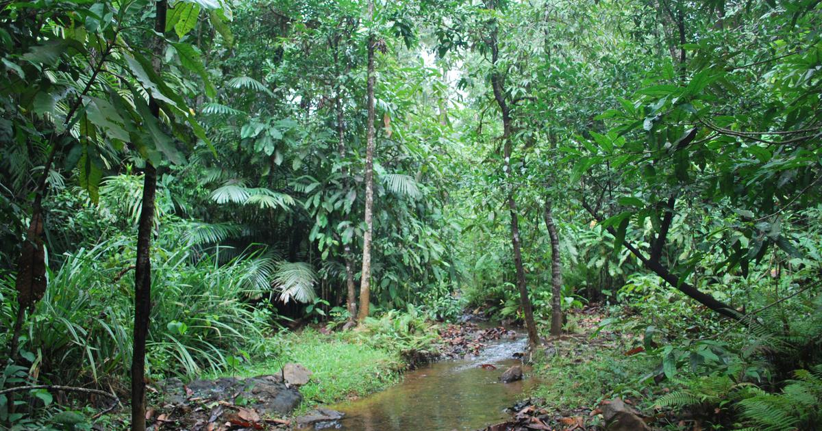 Maharashtra’s Vadhavan Port Project Receives Green Light as 237 Hectares of Forest Land Approved for Development