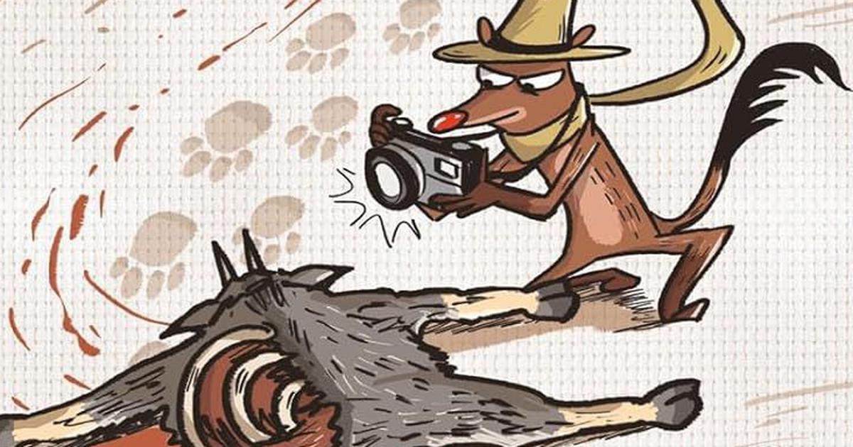 The Curious Case of Mongoose Ruddy: Investigating the Mysteries of Nature
