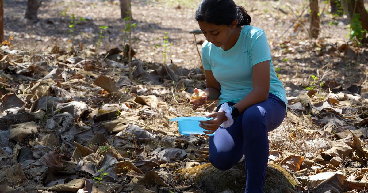 The Significance of Practical Environmental Education in India: Insights from Eco India Episode 321