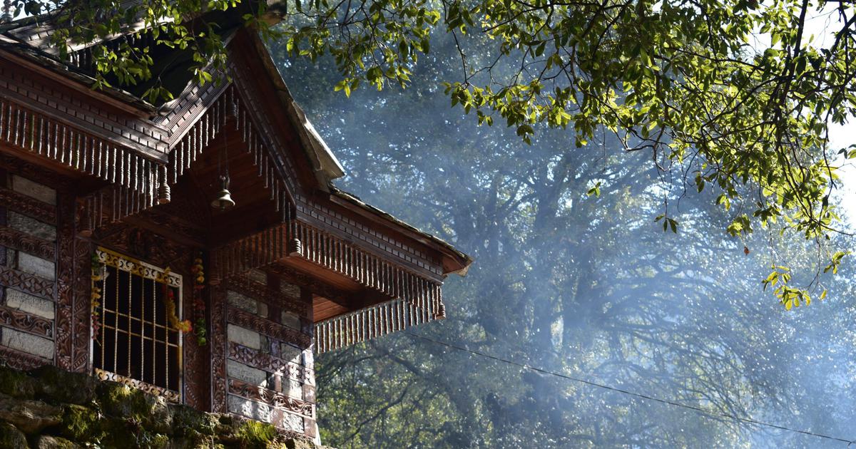 Tourism and Migration Shift Sacred Beliefs in Himachal Pradesh’s Forest Conservation