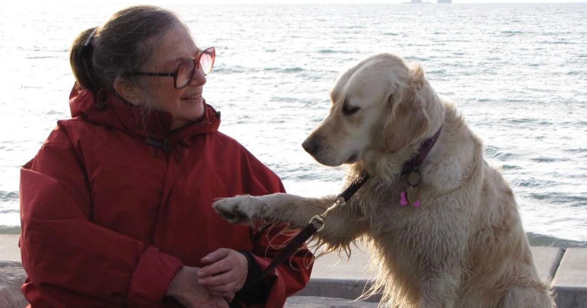 Wendy Doniger’s Heartfelt Memoir: The Indispensable Role of Dogs in Her Life