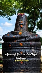 கோடி புண்ணியம் செய்திருந்தால் மட்டுமே காணக் கிடைக்கும் அரிதான பத்மாசன சிவலிங்க தரிசனம்!!